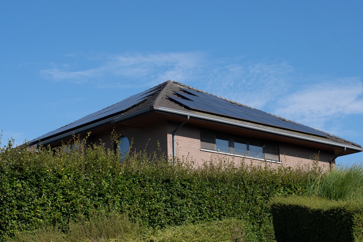 Hipped roof with solar panels, seen over a hedge